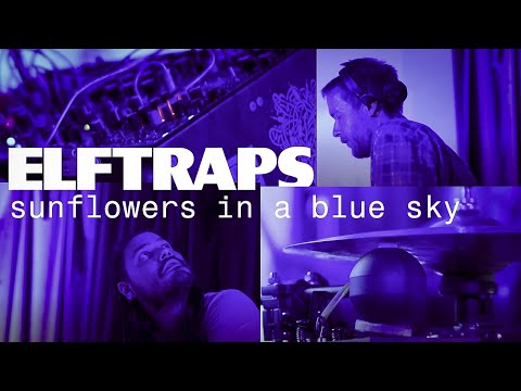 Elf Traps – Sunflowers in a Blue Sky (Live)