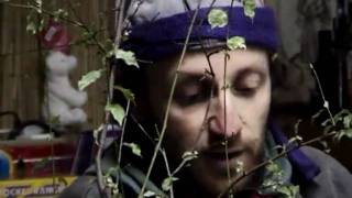 Aurum Potabile - Stepptanz im Gemüseladen (Teil 1)
