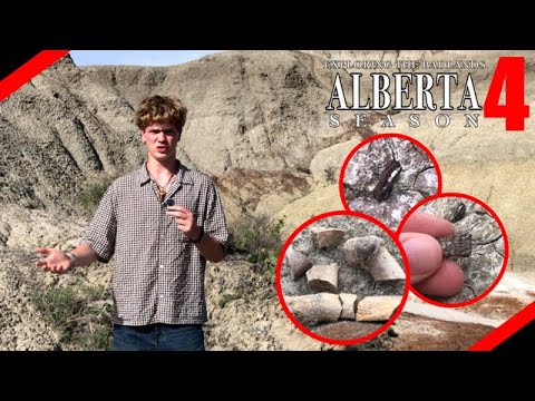 Disappointing DPP... | Exploring the Badlands: S4