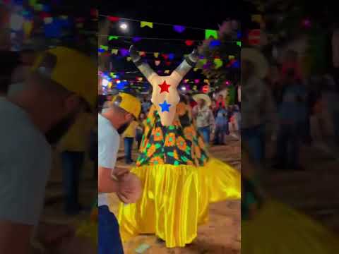 Tradicional Boi de São João . Pilar de Goiás.