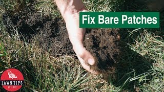 How To Fix Bare Spots In Your Lawn