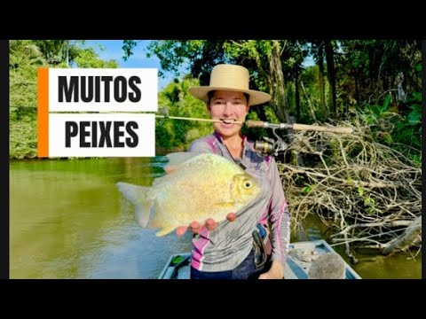 I've never caught so many fish.