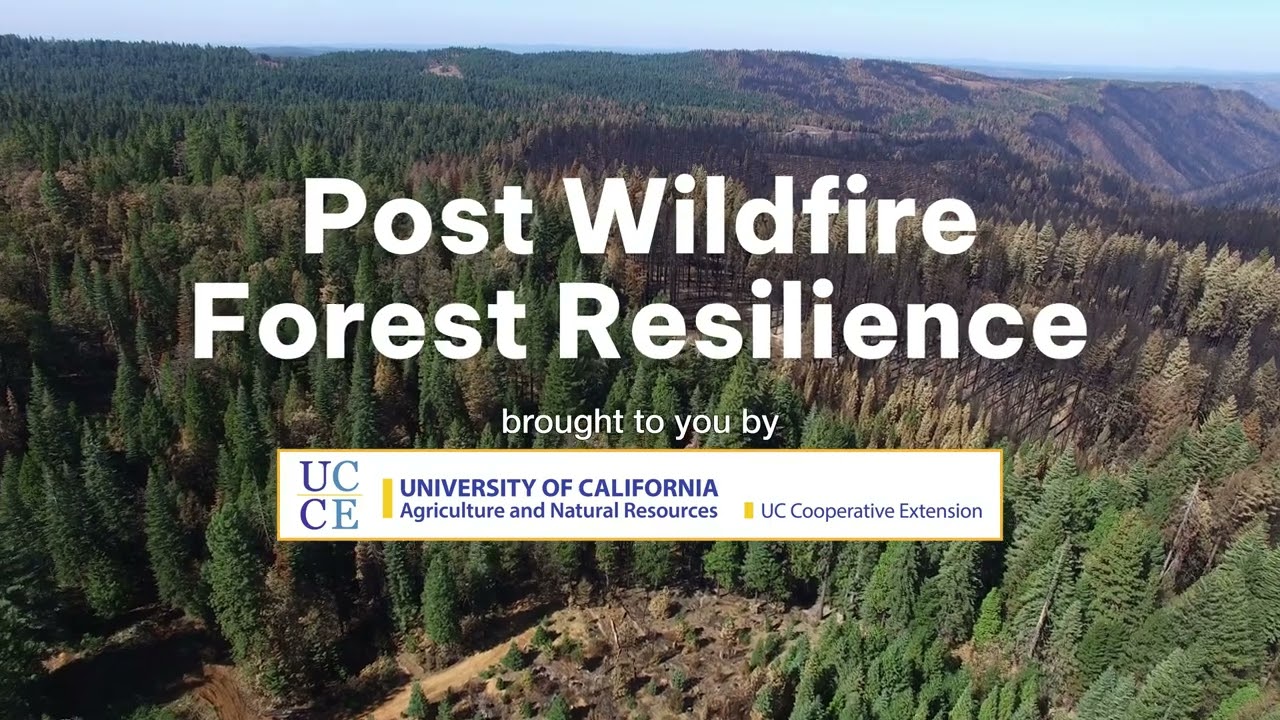 Course Introduction - Post Wildfire Forest Resilience