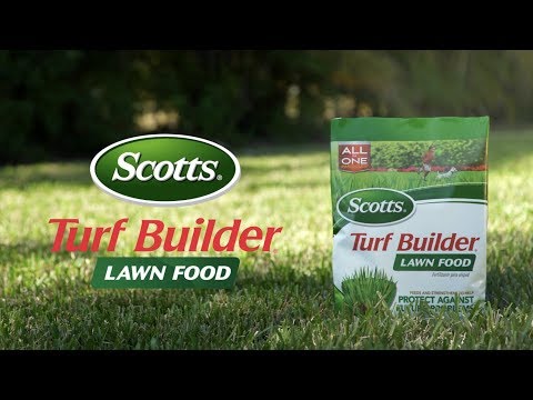 How to Use Scotts® Turf Builder® Lawn Food