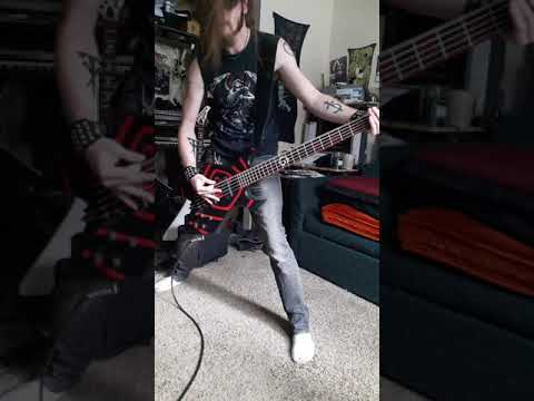 Thumbnail for Sounds of Silence Bass cover by ICS Vortex