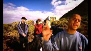 Beginner - Hammerhart HIGH QUALITY !