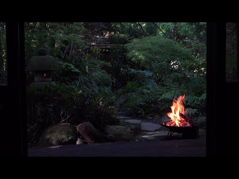 Peaceful View of Japanese Garden with Relaxing Fire Bowl and Bird Sounds (Quarantine TV)