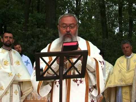 Predica IPS Andrei 22 iulie 2012   M stirea Sf Maria Magdalena Oarta de Sus MM