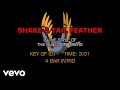 Blues Brothers Shake A Tail Feather Karaoke
