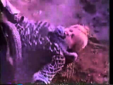 Fire Emblem Gaiden commercial