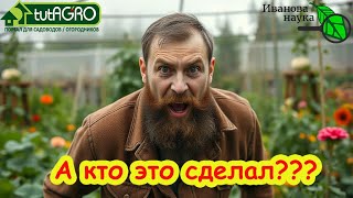 ЭТО ЧТО ЖЕ Я НАДЕЛАЛ! Как такое можно было сделать, да ещё ОСЕНЬЮ! Зато ни слиз
