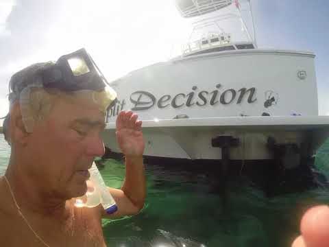 Pettit Black Widow Underwater Performance Mike Gable