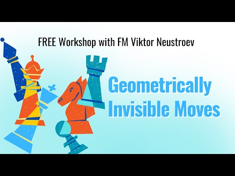 Workshop "Geometrically Invisible Moves"