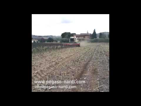 Sunstorm SFH 740 Sunflower header with chopper