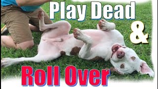 How to Teach Your Dog to  Roll Over and "Play Dead" FAST!