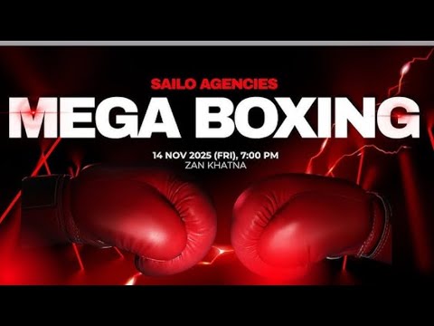 MEGA FIGHT a hmuhnawm nghal hle.