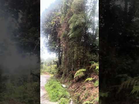 El Páramo La María Abrego Norte De Santander ✅✌🏼