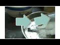 Lemon B Roll Vine Rony Cyriac Reupload