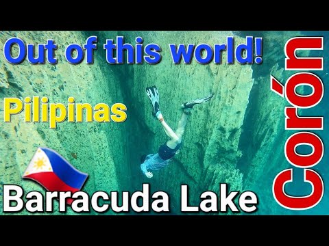 🇵🇭Corón Kayangan Barracuda Lake Twin Lagoons Balinsasayaw Reef Twin Peaks CYC & 91 Beach Philippines