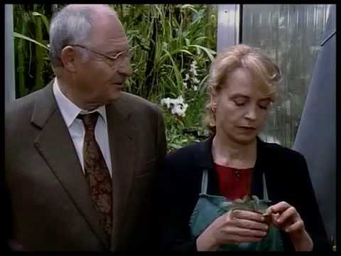 ⊕218 Der Alte Schatten der Vergangenheit 1996