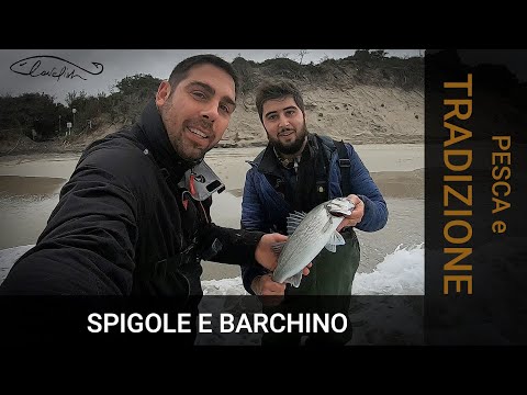 Fishing SEABASSES with the INFAMOUS "BARCHINO"