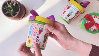 Горшок Лаванда ароматная