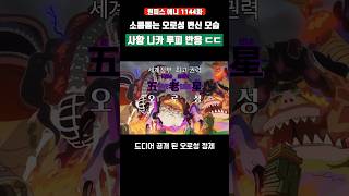 소름돋는 오로성 변신 모습과 니카 루피 반응 ㄷㄷ #원피스 #shorts
