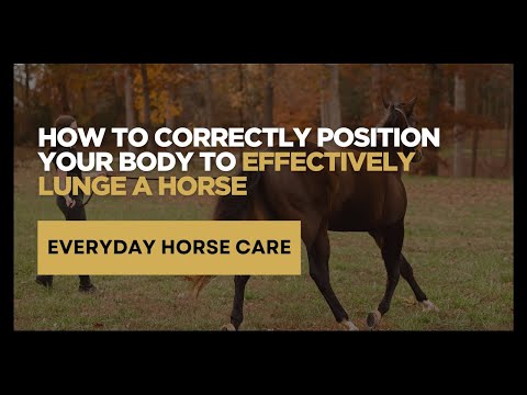 How to Correctly Position Your Body to Effectively Lunge a Horse