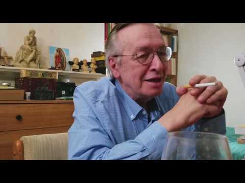Quem foi Getúlio Vargas segundo Olavo de Carvalho. Teria alguma similaridade com Lula?