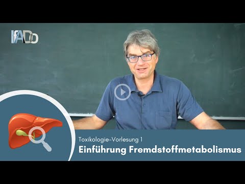 Toxikologie erklärt: Grundlagen Fremdstoffmetabolismus (Vorlesung 1)