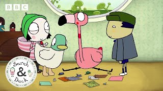 Make things with Sarah and Duck | Sarah and Duck Official