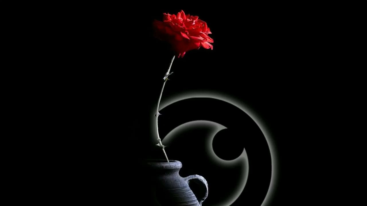 Dan Kingsley - Just A Little