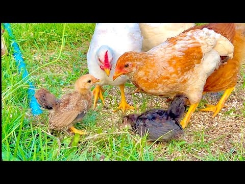 予想外なことが起こった