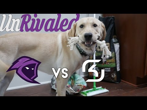 UnRivaled Ep.5 | Team Rival vs SK