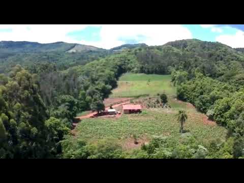 ÁREA DE TERRAS, 40000M² ÁREA TOTAL para venda EM CENTRO
