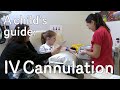 A child's guide to hospital - IV Cannulation