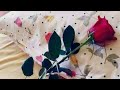 Vip 2 Mass Pondati DIALOGUE Tamil