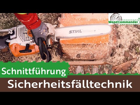 Cutting guide safety felling technique