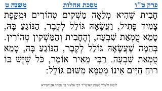 מסכת אהלות פרק ט"ו משנה ט