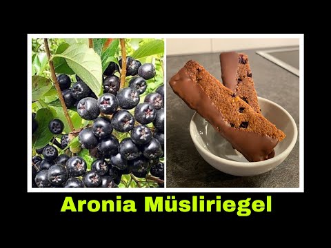 Aronia Müsliriegel selber machen Rezept | Selbstversorgung Süßigkeiten aus Apfelbeere