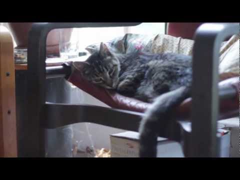 Útidúr - Vultures; teaser for the new record, "Detour"