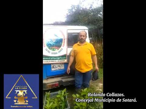 @fundacionlaguaca1803 Proyecto de Re forestación. Acueducto Peñas Blancas, Sotará, Cauca.
