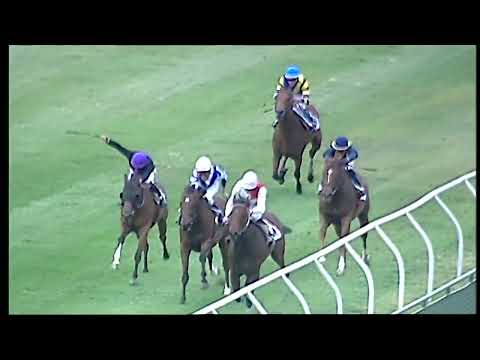 Napoli Galoppo 15/06/2022 - 6ª corsa