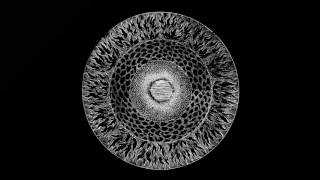 Conrad Van Orton - Iteration [ATTIC015]