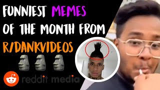 The Best Memes Of The Month From r/dankvideos!