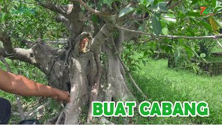 Download lagu BUAT CABANG BARU LEBIH CEPAT DENGAN CARA INI... mp3