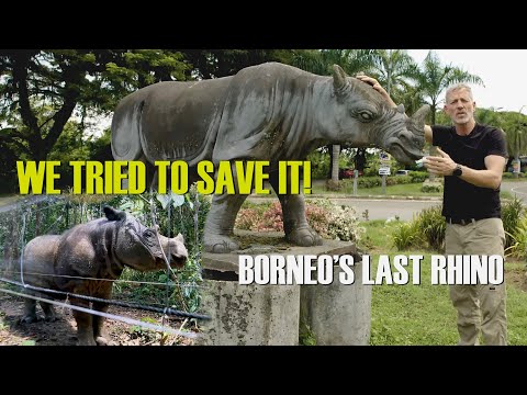 War on Nature - DaMaI Ecosystem