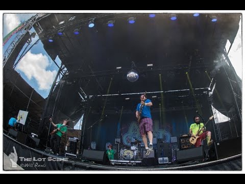 Pigeons Playing Ping Pong - All Good 2015