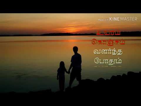 Brother and Sister love Whatsapp sister....By Vishanth 😍😍😍