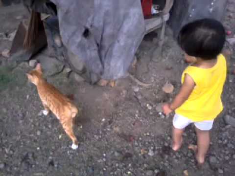 anindya vs cat